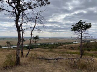 tree in the field
река в дали
даль