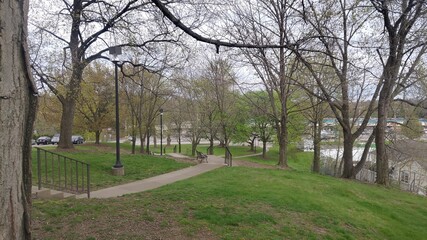 tree park