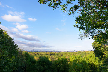 Fototapeta premium Vincennes wood panorama in Paris city
