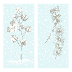 Set christmas new year card with cotton and larch Winter plants isolated on blue snow background. Hand-drawn vintage sketch botanical art. Engraving style. Flat color Vector illustration