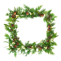 Cedar, mistletoe, acorn & pine cone winter greenery border on white background. Festive seasonal element for the solstice, Christmas & New Year. Top view, flat lay, copy space.