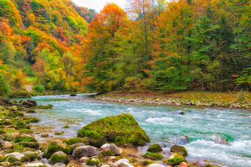 Beautiful autumn landscape. River running through a forest. Colorful leaves on trees. 