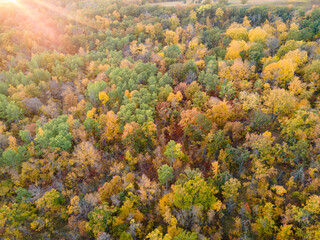 Aerial View of Trees Changing Color in the Fall in North Dakota.