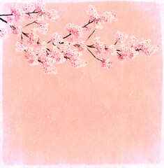 Grunge background texture of old paper and sakura flowers