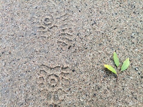 Background Shoe mark in the sand.