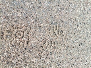 Fototapeta na wymiar Background Shoe mark in the sand.