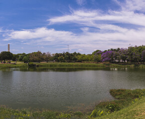 Fototapeta premium river in the park