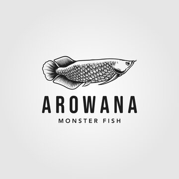 arowana fish logo vintage vector illustration design