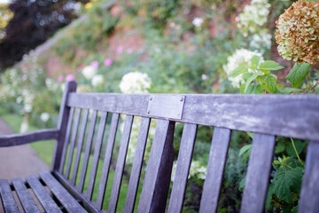 Wooden Bench on a Park Surrounded by Plants and Flowers