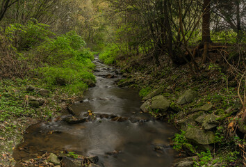 Krasetinsky creek near confluence with Kremzsky creek under railway bridge