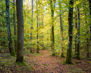 The colorful path towards happiness.. Gothenburg, Sweden