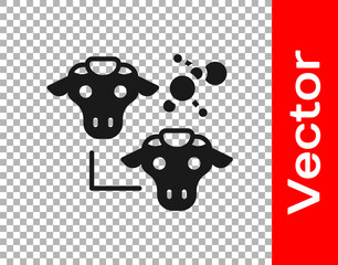 Black Cloning icon isolated on transparent background. Genetic engineering concept. Vector.