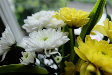 bouquet of chrysanthemum