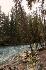 Maligne River near the Fifth Bridge