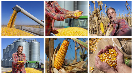 Corn Growing, Harvesting and Storage Photo Collage - Smiling Farmer Harvesting Corn