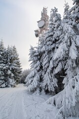 Forest path with icing near trees around the transmitter. 