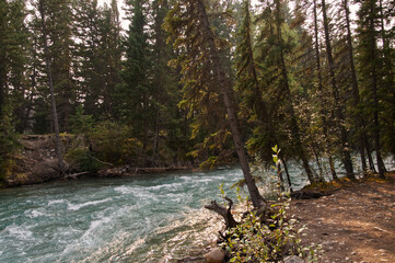 Maligne River near the Fifth Bridge