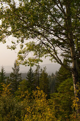 Maligne Overlook on a Very Smoky Day
