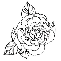 Black and white line illustration of rose flowers on a white background
