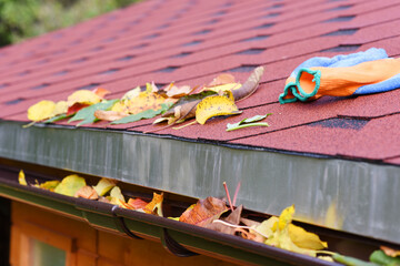 Leaves in eaves. Cleaning gutter blocked with autumn leaves. Czech republic, Europe.