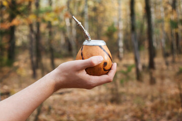 Male hand holds traditional drink yerba mate. Outdoors in the autumn forest. Close-up