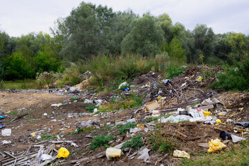 Dump of household waste in the forest. Pollution of nature.