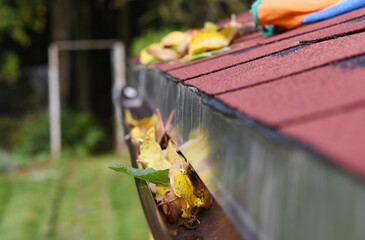 Leaves in eaves. Cleaning gutter blocked with autumn leaves. Czech republic, Europe.