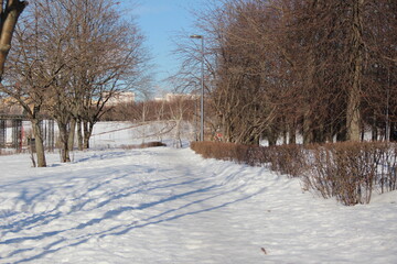 Well-trodden paths in the white fluffy snow. Winter Park in Sunny weather
