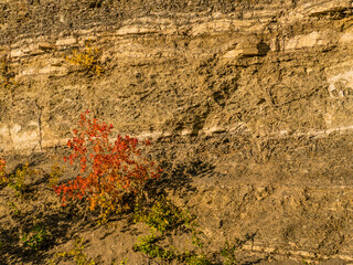 Gesteinsschichten an Böschung