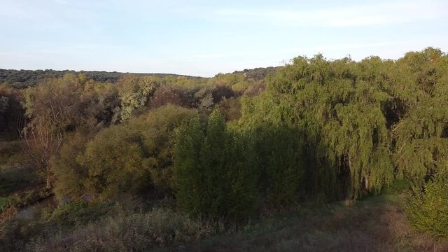 krajobraz las drzewa poranek jesień