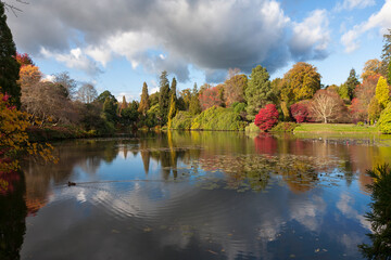 Glorious Autumn colour on a sunny Autumn day: trees by a lake in East Sussex, England, UK