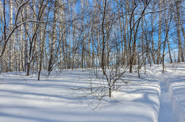 Wonderful winter landscape - narrow path in deep snow leading to birch forest