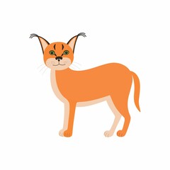 Cute animals caracal. Cartoon wild cat isolated on white background.