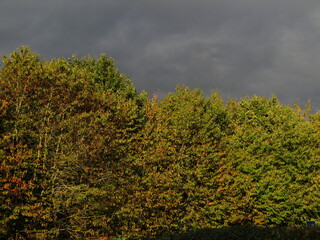 Fototapeta premium Dark gray sky over autumn tree views