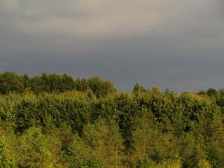 Dark gray sky over autumn tree views