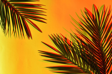 Palm tree leaf yellow and orange tropical mock up background with copy space for you card design