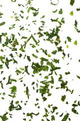 Fototapeta na wymiar Fresh chopped celery leaves isolated on white. Aromatic Spice celery leaves.