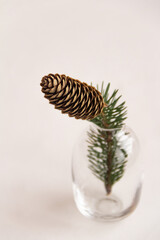 Fir branch with a cone in a vase on a white background