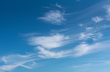 Cirrus clouds in the bright blue sky