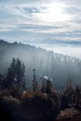 Wall murals Forest in fog Morning landscape in the Carpathian mountains.