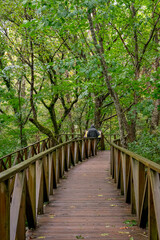 Fototapeta na wymiar Wooden walkway to access the Natural Monument of the Secuoyas of Monte Cabezón. Cantabria. Spain