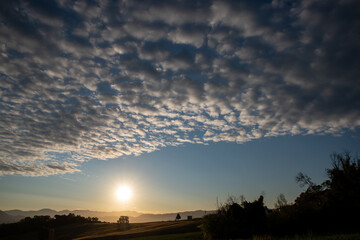 Wonderful sunrise with many small fluffy and soft white clouds in the blue sky. ( Cirrocumulus ) 