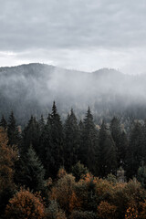 Morning landscape in the Carpathian mountains.