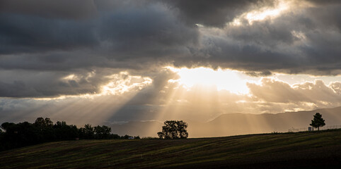 Fototapeta premium Beautiful sunrise with sun rays breaking through the clouds illuminating a tree. Concept of serenity and peace. Background