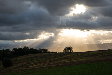 Fototapeta premium Beautiful sunrise with sun rays breaking through the clouds illuminating a tree. Concept of serenity and peace. Background