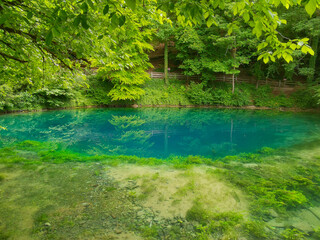 Pond Blautopf with turquise water surrounded by lush green trees