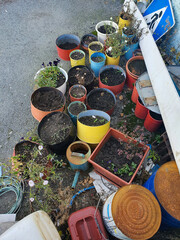 flower pots with earth lot