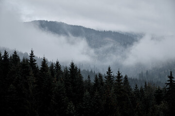 Cloudy landscape in the Carpathian mountains.