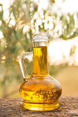 olive oil in its natural environment