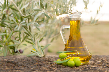 fresh olives and olive oil in their natural environment